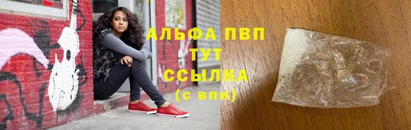 apvp Магас